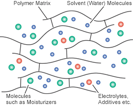 Structure of “ST-gel”