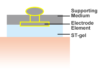 Electrocardiogram Electrode (Example)